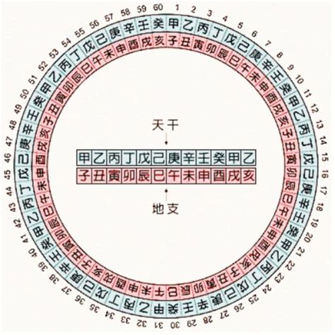 庚五行|十天干、十二地支与五行 、六十甲子基本知识